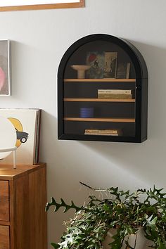 a wall mounted shelf with books on it next to a potted plant and pictures