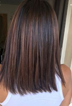 Medium Length Bob No Layers, Shoulder Length Dark Hair Styles, Shoulder Length Fall Hair Brunettes, Fall Brunette Hair Color Straight, Newest Styles For Women, Summer Chocolate Brown Hair, Levels Of Brunette Hair, Trendy Brunette Hair 2023, Women’s Straight Hairstyles