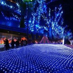 people are walking around with lights on the ground and trees in the background at night