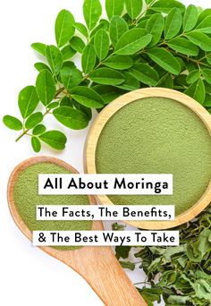 What Is Moringa, Moringa Recipes, Benefits Of Moringa, Moringa Capsules, Moringa Seeds, Miracle Tree, Moringa Powder