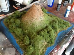 a mound of moss sitting on top of a table