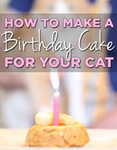 a birthday cake with a lit candle on it and the words how to make a birthday cake for your cat