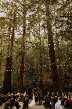 a wedding ceremony in the woods surrounded by trees and string lights, with an aisle lined with people