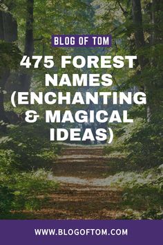 a path in the woods with text overlay reading blog of tom 47 forest names enchanting and magic ideas