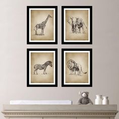 four framed pictures of animals on a wall above a crib with a teddy bear