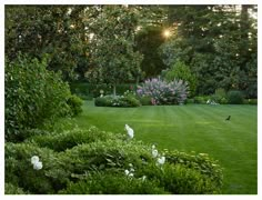 the sun shines brightly through the trees and bushes in this lush green park setting