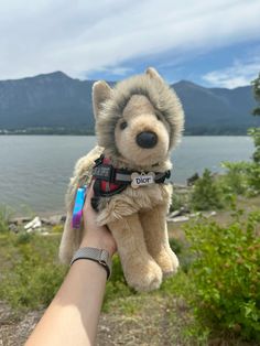 a person holding a stuffed animal in front of a body of water with mountains in the background