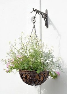 a potted plant hanging from a hook on a white wall with flowers in it