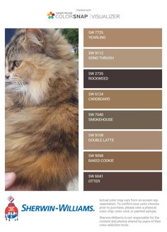 the color scheme for sherylin - williams's cat