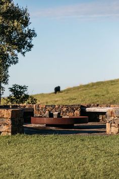 a stone bench sitting on top of a grass covered field next to a tree and cow