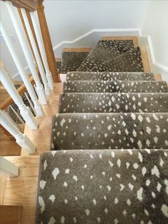 the carpet on the stairs is white and brown