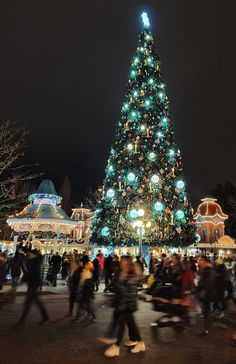 a large christmas tree is lit up at night