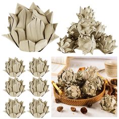 several different types of artichokes and pine cones