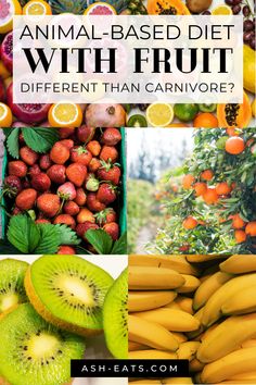 Have you heard about an animal-based diet with fruit? Wondering if it's different than carnivore? In this blog post, I discuss how an animal-based diet with fruit is different than carnivore. I also provide resources related to how to get started with an animal-based diet with fruit. #animalbaseddietwithfruit #carnivorediet Animal Based Diet With Fruit, Meat And Fruit Diet Plan, Animal Based Carnivore Diet, Meat Based Diet, Animal Diet, Primal Eating, Fruit Diet Plan, Animal Based Diet, Veggie Diet