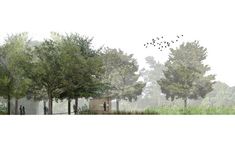 an artist's rendering of a park with trees and birds