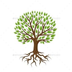 a tree with green leaves and roots on a white background