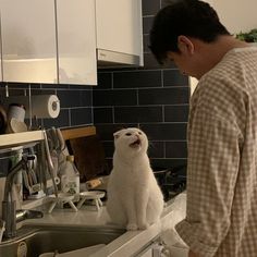 a white cat sitting on top of a kitchen sink next to a man in plaid shirt