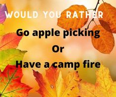 fall leaves with the words would you rather go apple picking or have a camp fire?