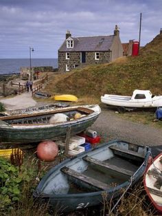 there are many small boats on the shore