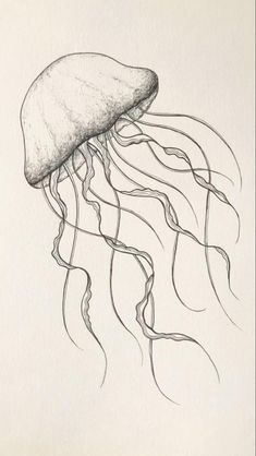 a drawing of a jellyfish in black and white