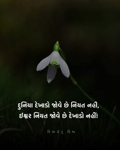 a white flower sitting on top of a green grass covered field next to a quote written in two languages