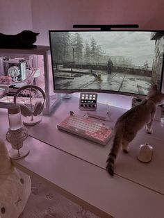 a cat standing on a desk in front of a computer monitor with the screen turned on