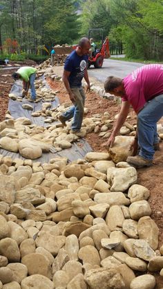 Rock Drainage, Driveway Entrance Landscaping, Tattoo Plant