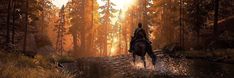 a man riding on the back of a horse through a forest