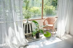 a room with a chair, potted plants and a mirror on the floor in front of it