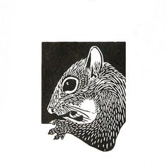 a black and white drawing of a squirrel