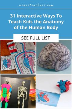 three different pictures with text that says 31 interactive ways to teach kids the anatomy of the human body see full list