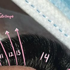 Jocelyn’s Lash Bar (Hayward & Santa Ana) on Instagram: "Mapping of The Day🧚🏼🌟✨ 

Here’s one of my favorite doll eye mappings! 🤭
Dolleye styled set using my favorite volume lashes always Royal Sable Favorite Lash Trays from LBLA🩵✨ 

@lashboxla Products Used: 

🧚🏼Royal Sable Volume Lash Trays 0.03 D Curl 
🧚🏼 Long Wearing Pre Treatment Primer 
🧚🏼 Micro Tip Professional Microswabs 

#lashbox#lbla#lashboxla#lashboxcosmetics

#lashtech#lashes#eyelashextensions#santanalashes#orangecountylashes#bayarealashes#lash#lashextensions#brownlashes#coloredlashes#volumelashes#lashartist#haywardlashes#lashmaps#lashmapping#lashmap#eyelashes#eyelash#lashartist#bayarealashextensions#lightvolume#classiclashes#classiceyelashextensions#brownlashextensions#eyelashextensionmapping#hybridsets#unioncitylash Lash Trays, Lash Bar, Use Me, Doll Eyes, Fashion Set