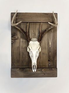 a deer skull mounted on a wooden wall