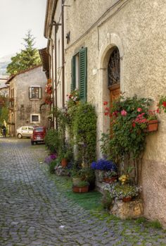 a cobblestone street with potted plants and flowers on either side of the building