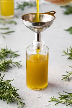 Rosemary Oil for Hair Growth: Benefits + How to Make It 3 Ways Vitamin E For Hair, Make Rosemary Oil, Rosemary Hair Oil, Hair Oil Recipe, Rosemary Oil For Hair Growth, Hair Grow Oil, Rosemary Hair Growth, Rosemary Hair, Babka Recipe