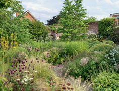 a garden filled with lots of different types of plants