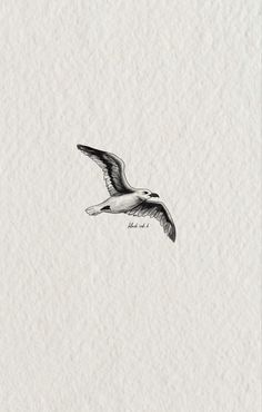 a drawing of a seagull flying in the sky