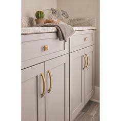 a kitchen with white cabinets and gold pulls on the handles, along with a potted cacti