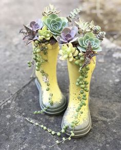 two yellow rain boots with succulents and green leaves on them sitting on the ground