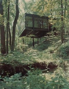 a tree house in the middle of a forest