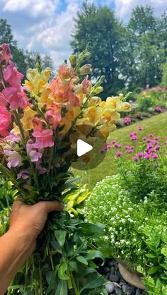 a person holding flowers in their hand near some bushes and plants on the side of a road