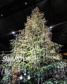 a large christmas tree in the middle of a building with lights hanging from it's sides