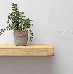 a potted plant sitting on top of a wooden shelf next to a white wall