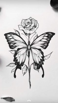 a drawing of a butterfly with a rose on it