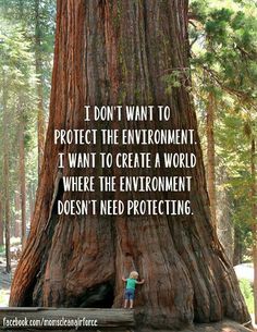 a person standing next to a giant tree in the forest with words written on it