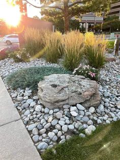 a rock and grass garden in front of a building