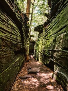 a narrow path between two large rocks in the woods