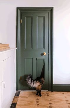 a dog standing in front of a green door