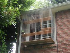 a bird cage on the side of a brick building