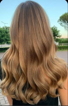 Blonde Hair Color Ideas For Wedding, Golden Brown Hair With Dark Roots, Dark Blonde Hair Golden, Warm Summer Hair Color, Blonde Hair Color Ideas For Brunettes Golden Brown, Golden Brown Blonde Hair, Cinnamon Cookie Butter Hair, Strawberry Dark Blonde Hair, Dark Blonde Natural Hair